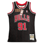 Chicago Bulls 1995-96 | NBA