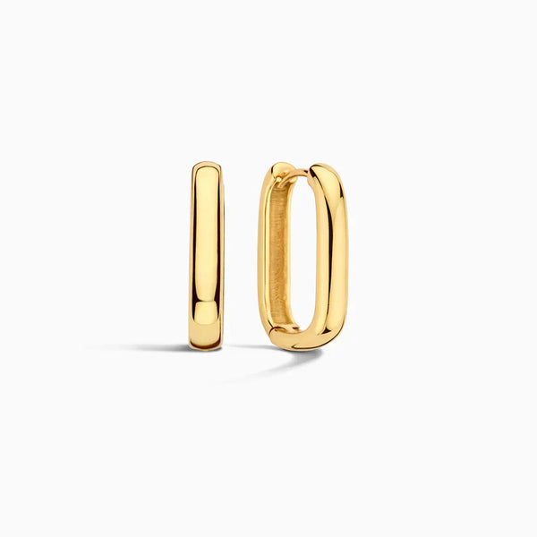 Iconic circular earrings