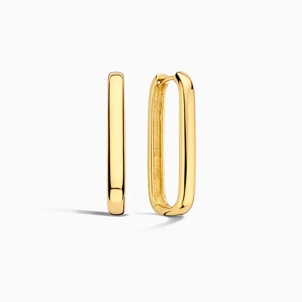Pendientes grandes