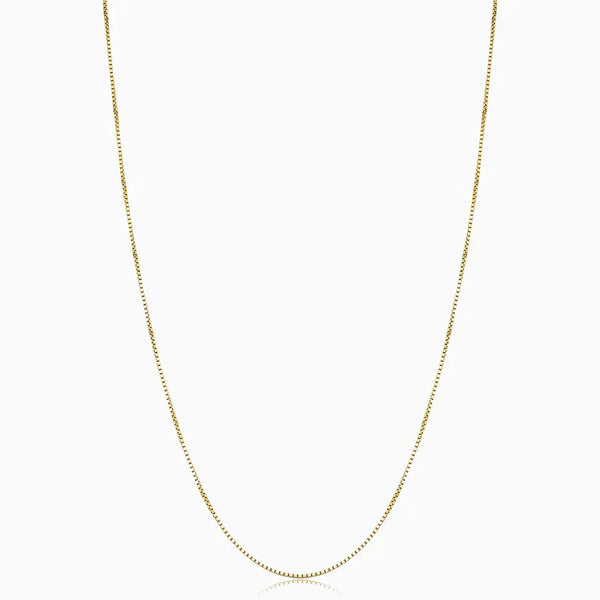 Collar Bodega Box