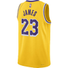 Los Angeles Lakers Icon Edition 23-2024 | NBA