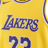 Los Angeles Lakers Icon Edition 23-2024 | NBA